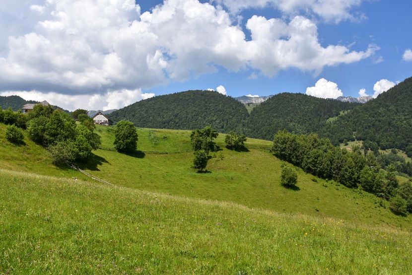  - 11 - Peștera Bv-iunie 2019