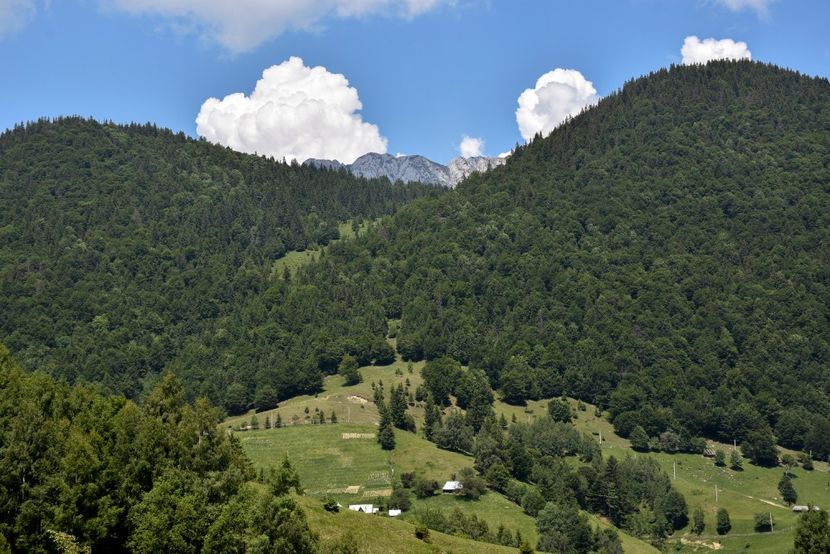  - 11 - Peștera Bv-iunie 2019