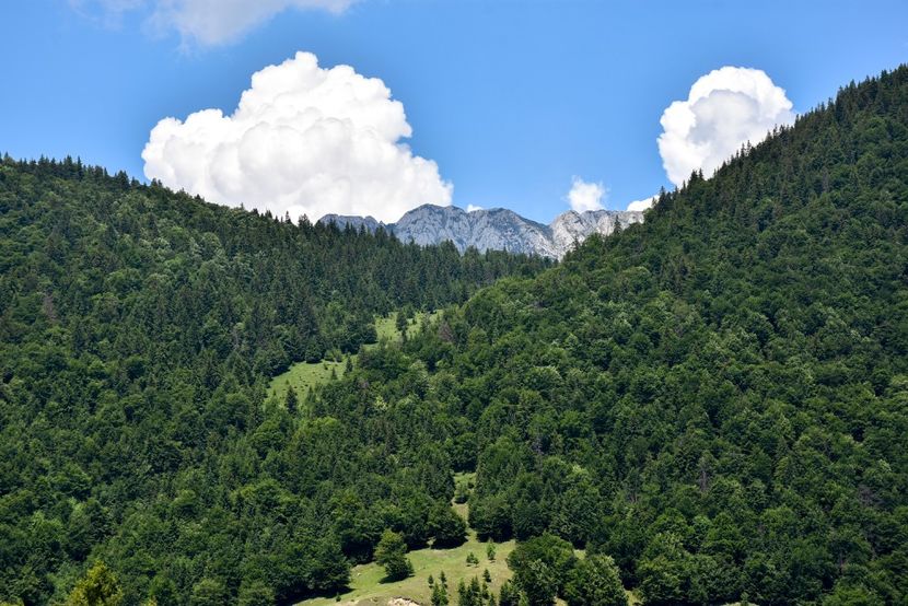  - 11 - Peștera Bv-iunie 2019
