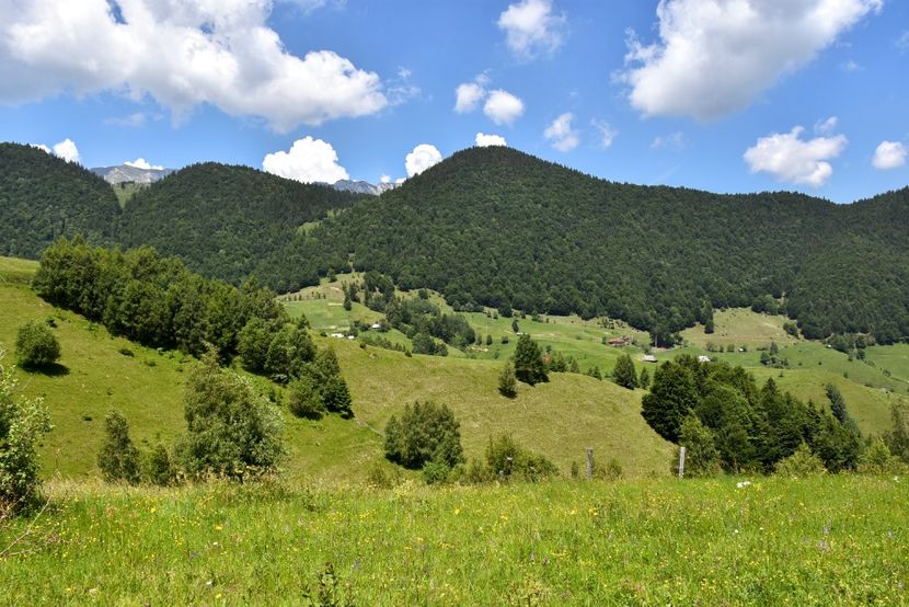  - 11 - Peștera Bv-iunie 2019