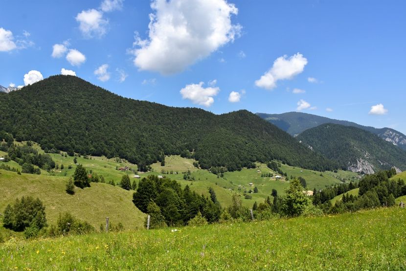  - 11 - Peștera Bv-iunie 2019