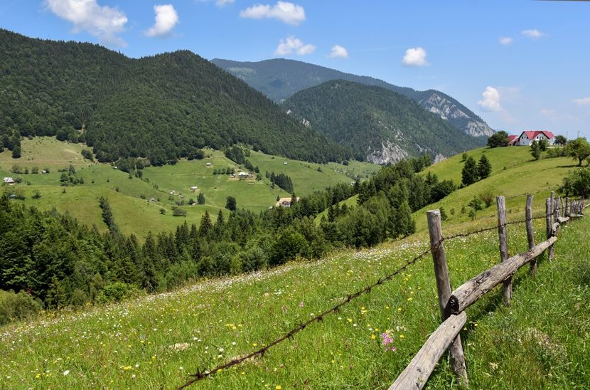  - 11 - Peștera Bv-iunie 2019