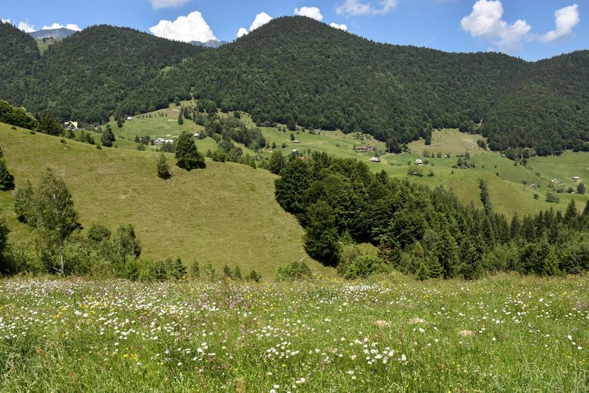  - 11 - Peștera Bv-iunie 2019