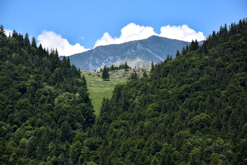  - 11 - Peștera Bv-iunie 2019