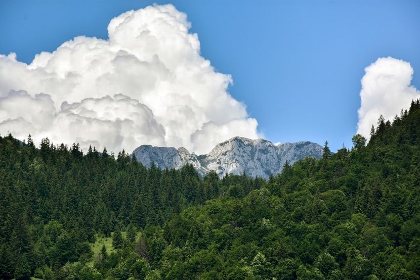  - 11 - Peștera Bv-iunie 2019