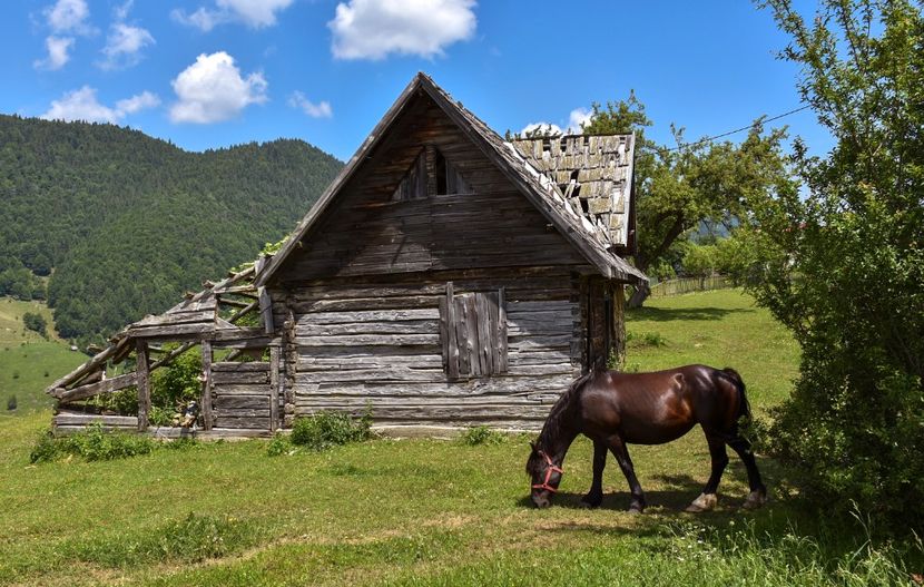  - 11 - Peștera Bv-iunie 2019