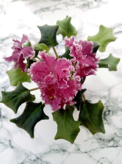 15 iunie 2019 - LE Whipped Cream Sp