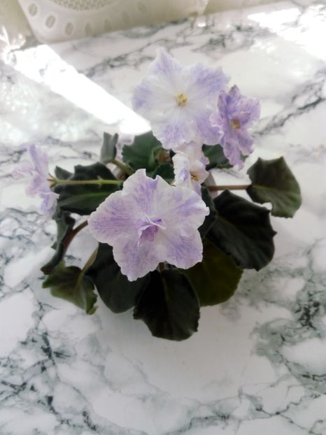 15 iunie 2019 - ZZZ_____RS Maiskyje Grozy