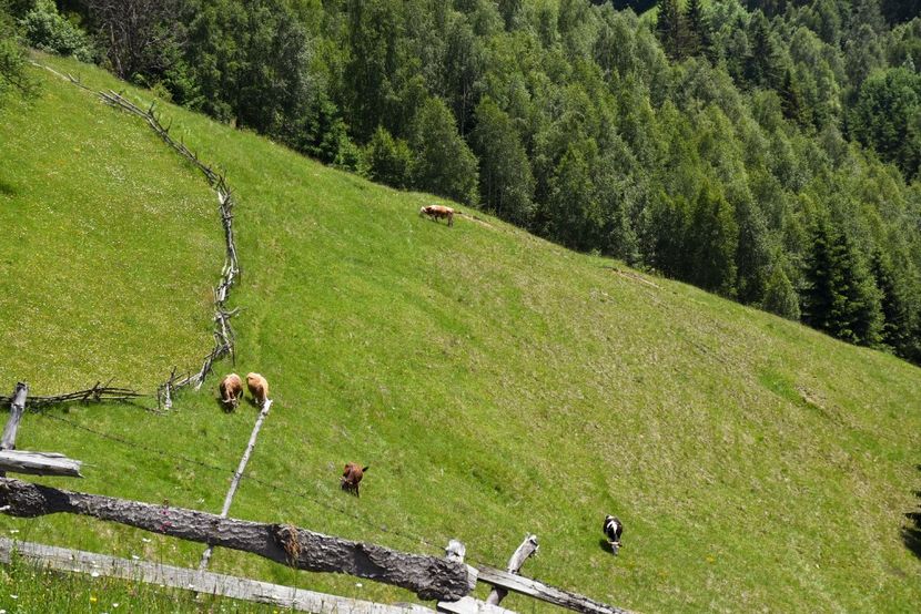  - 11 - Peștera Bv-iunie 2019