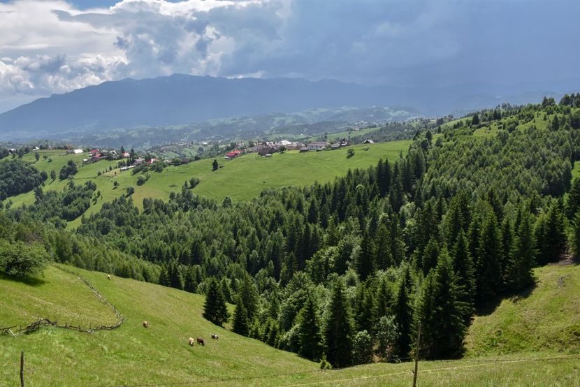  - 11 - Peștera Bv-iunie 2019