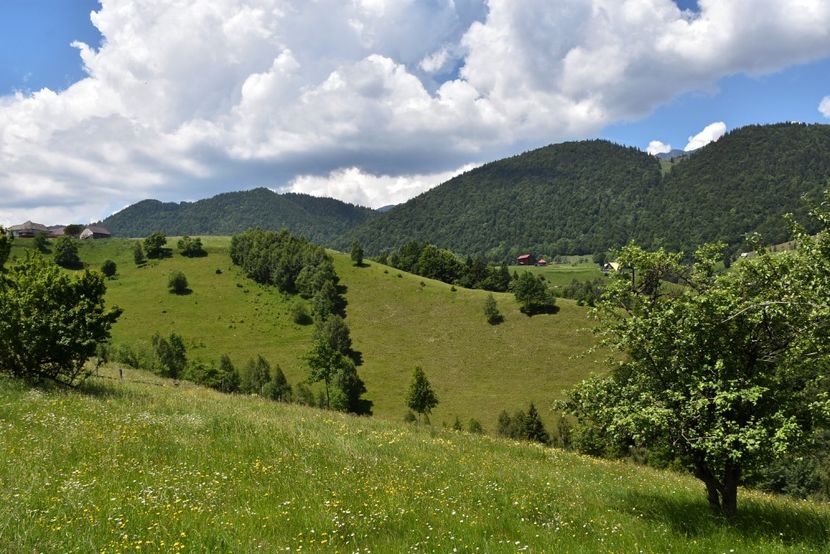  - 11 - Peștera Bv-iunie 2019