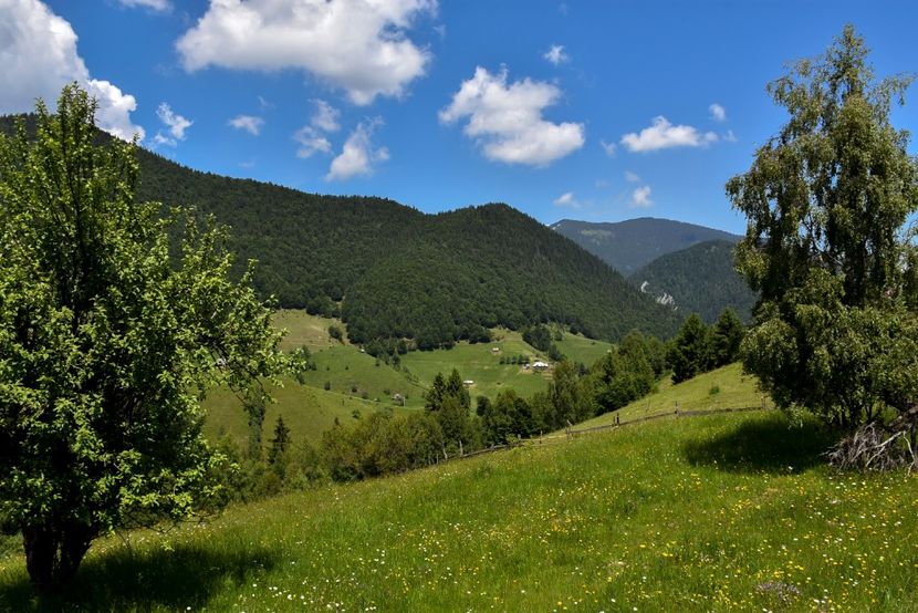  - 11 - Peștera Bv-iunie 2019