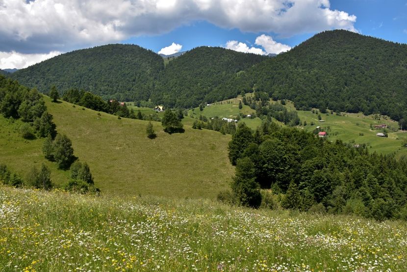  - 11 - Peștera Bv-iunie 2019