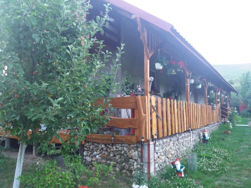  - vara 2019 in curte