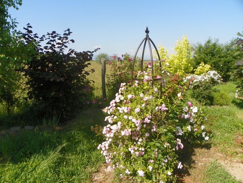 Frau Eva Schubert - Dobarland 2019 3