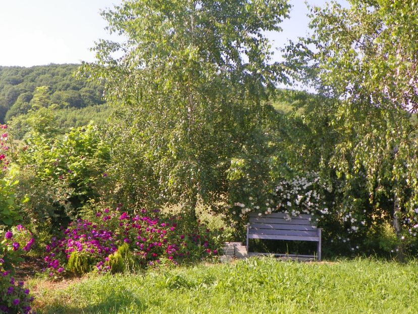 Himmelsauge - Dobarland 2019 3