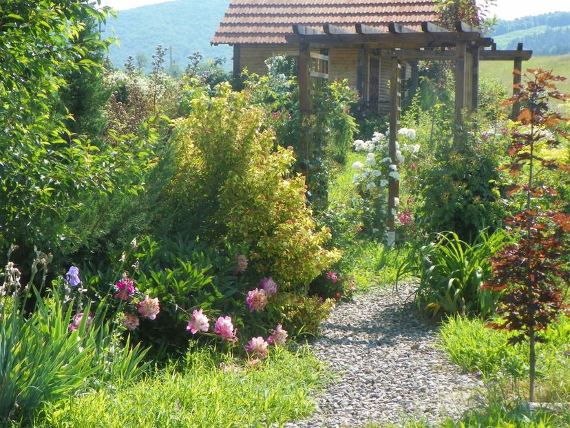 15 iun (433) - Dobarland 2019 3