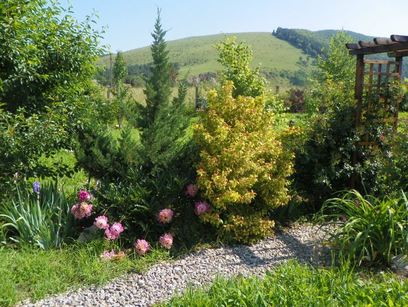 15 iun (438) - Dobarland 2019 3