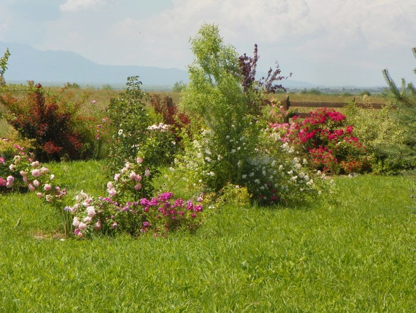 15 iun (678) - Dobarland 2019 3