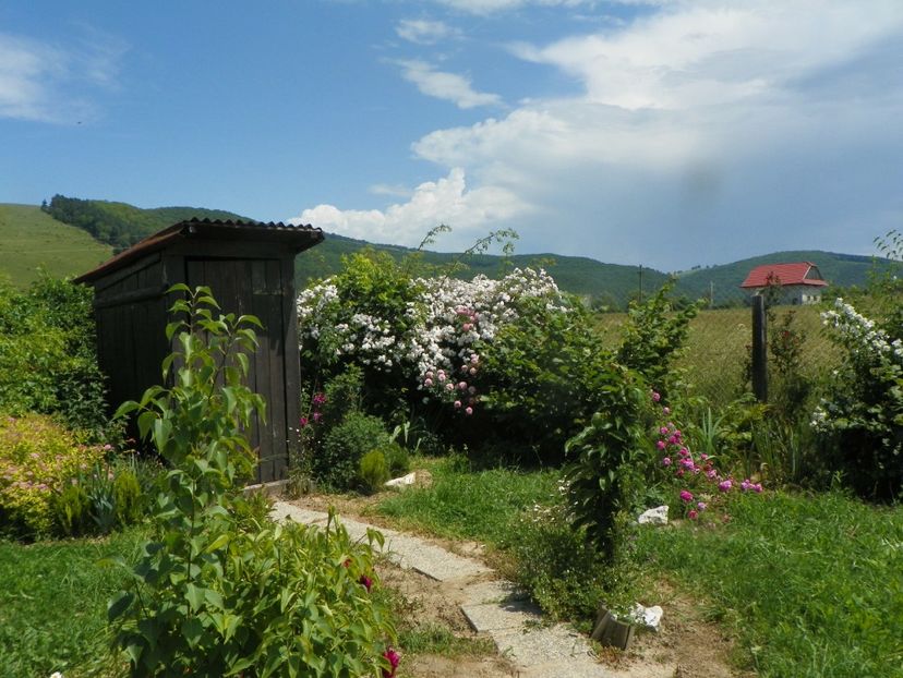 15 iun (722) - Dobarland 2019 3