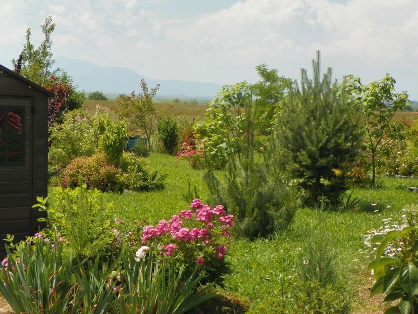 15 iun (725) - Dobarland 2019 3