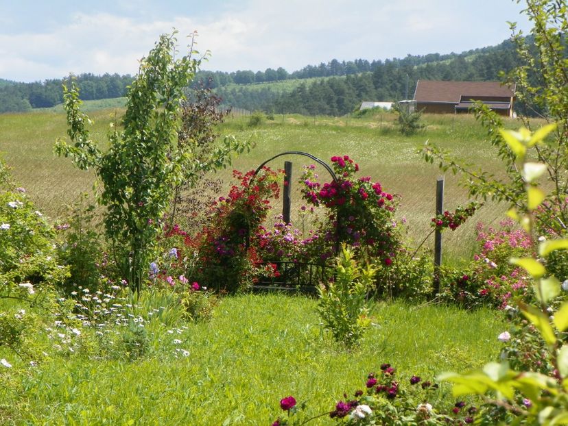 Vif Eclat, Ruskin - Dobarland 2019 3