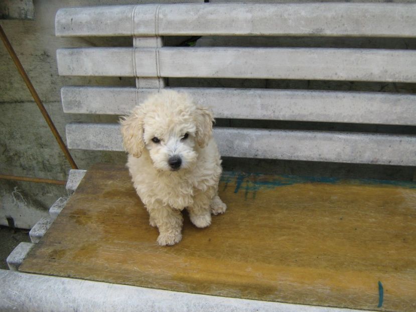  - MUKY_ ceva special