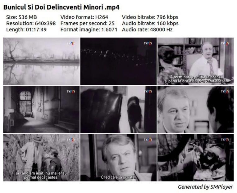 Bunicul Si Doi Delincventi Minori - Bunicul Si Doi Delincventi Minori 1976