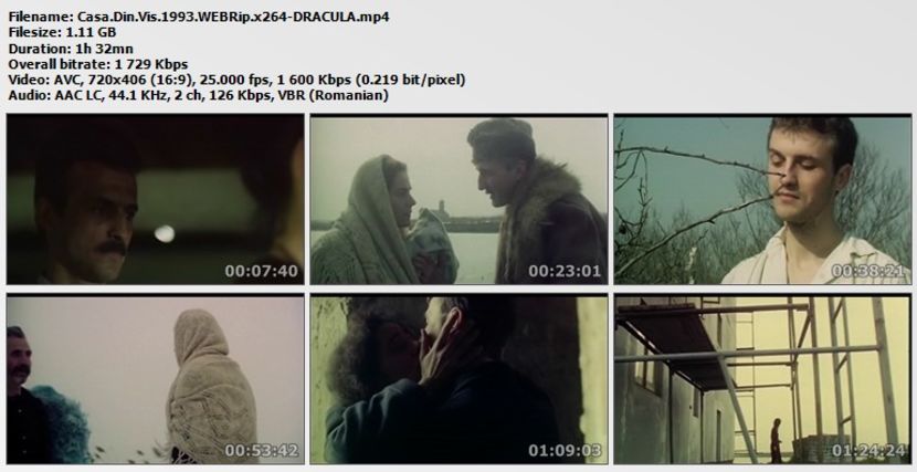 Casa Din Vis - Casa Din Vis 1991