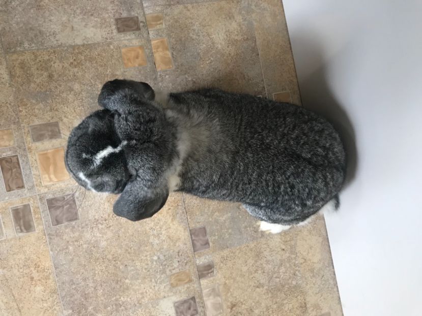 3B5BD91D-C79F-417D-9CD9-980F2828D7A5 - MASCULI