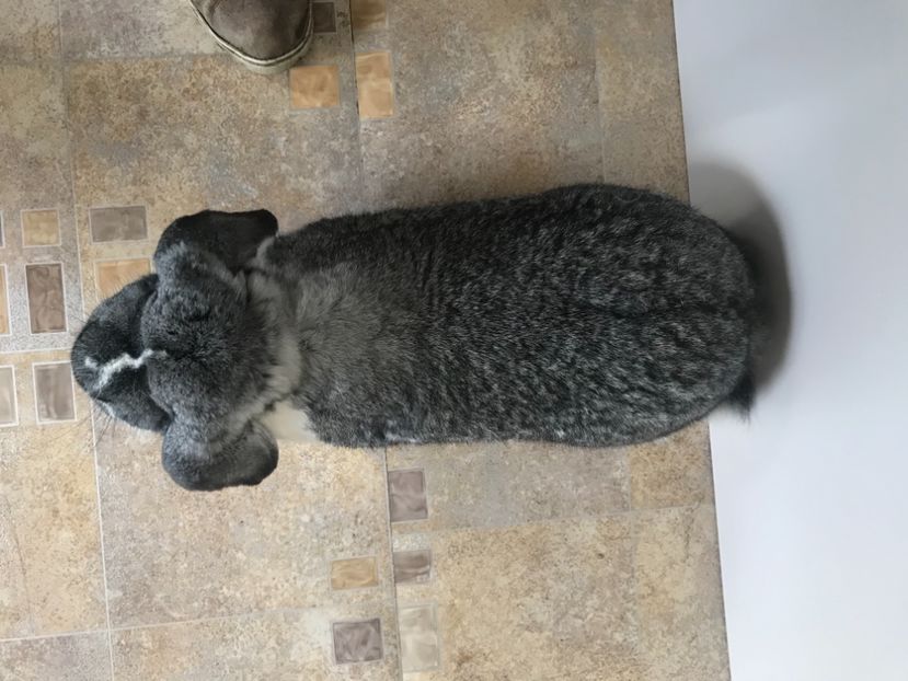 13AA75B6-7EC9-4B49-A3BD-DC01678C74F6 - MASCULI