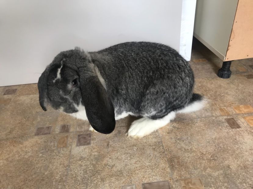 EB2F9446-A97C-4259-8B2C-DAEC7F392C14 - MASCULI