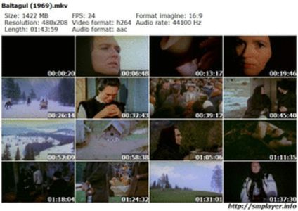 Baltagul - Baltagul 1969