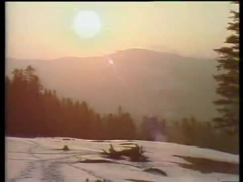 Baltagul - Baltagul 1985