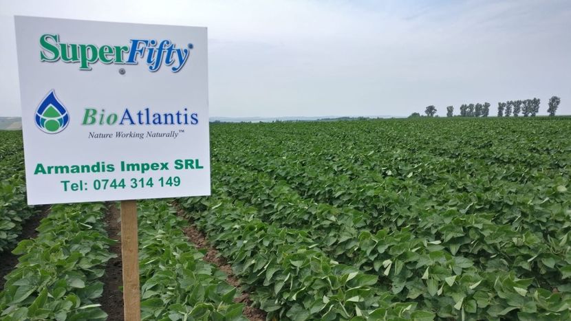 Soia 27 iunie 2019 poza 1 - 27 iunie 2019 Soia - lot semincer