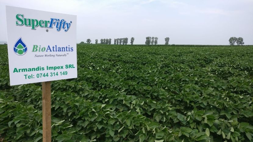 Soia 27 iunie 2019 poza 2 - 27 iunie 2019 Soia - lot semincer