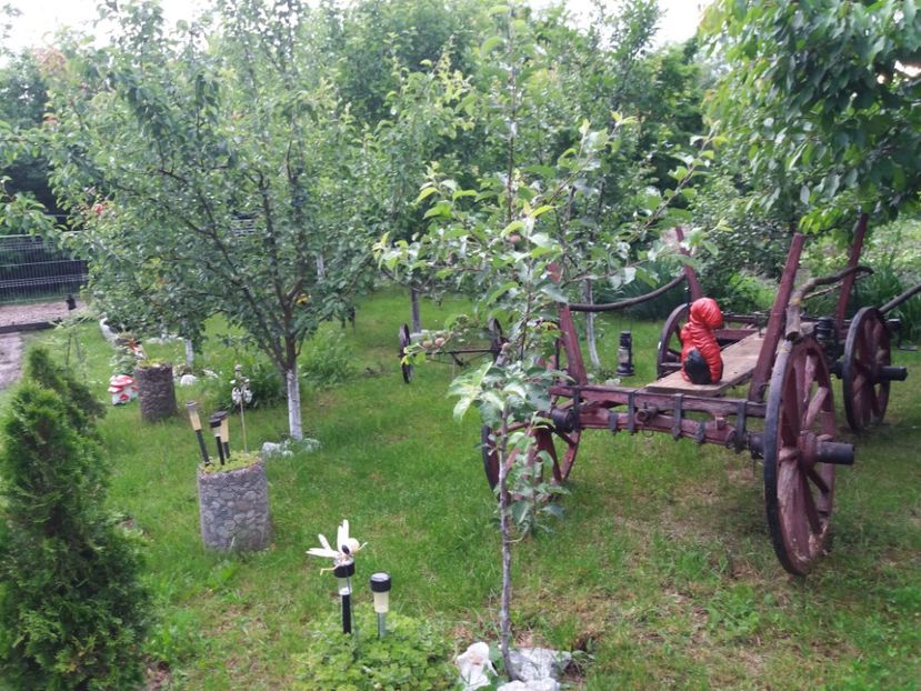  - vara 2019 in curte