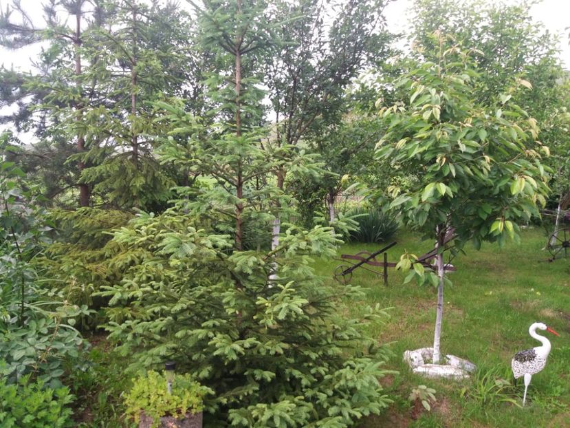  - vara 2019 in curte