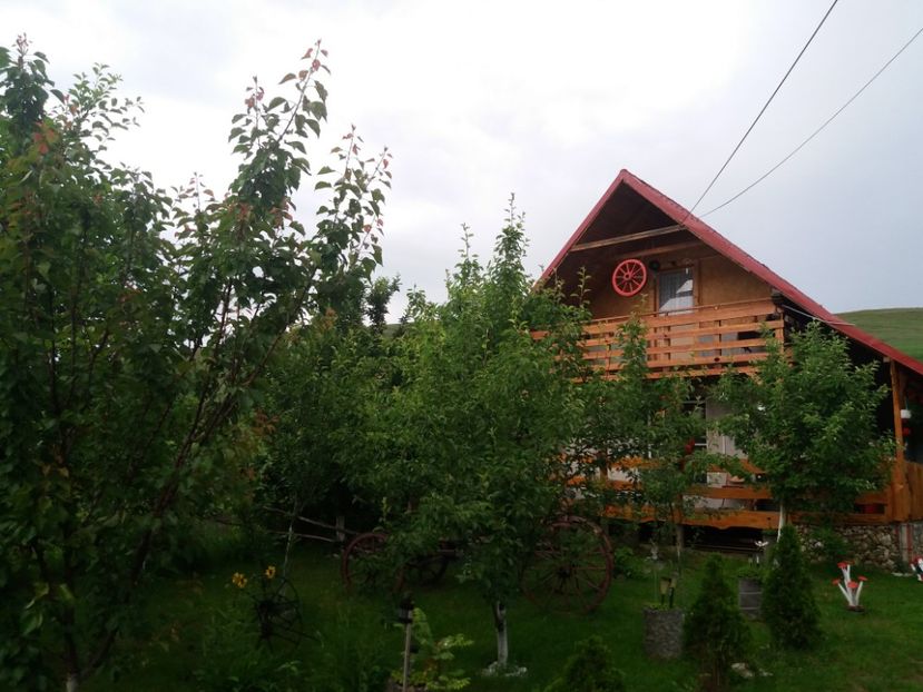  - vara 2019 in curte