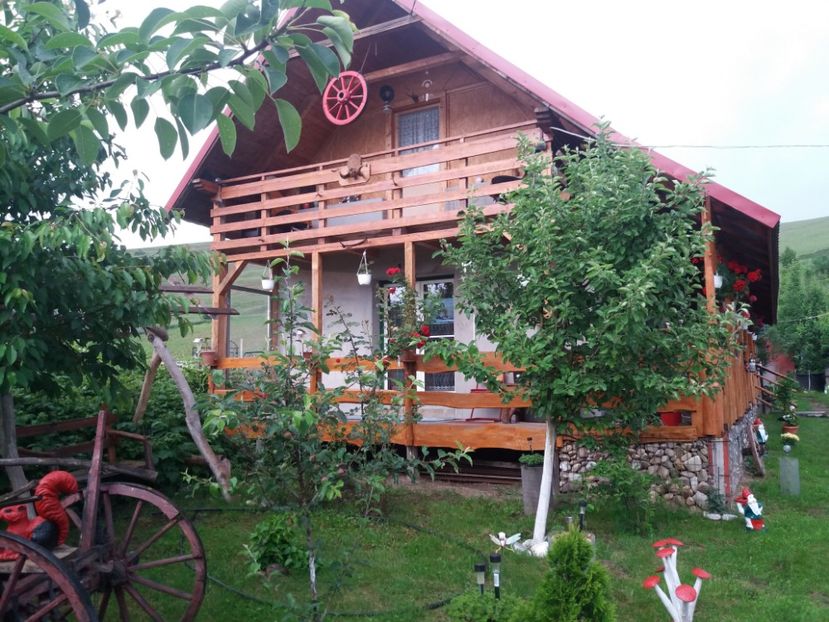  - vara 2019 in curte