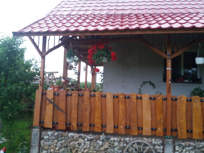  - vara 2019 in curte