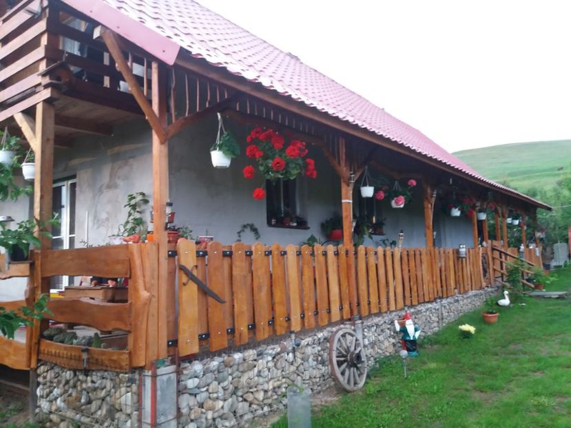  - vara 2019 in curte