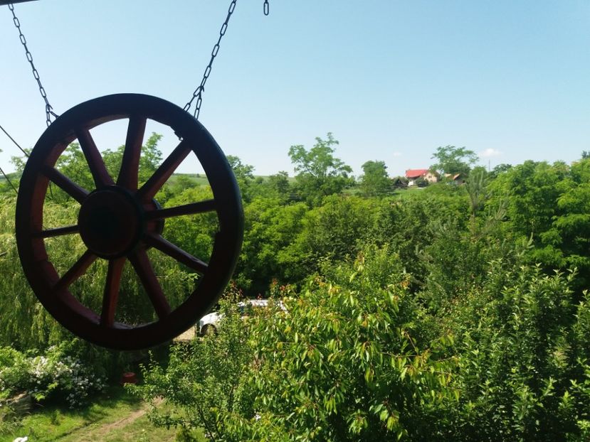  - vara 2019 in curte