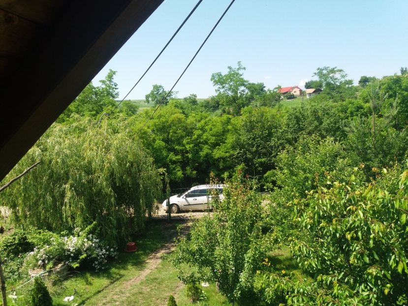  - vara 2019 in curte