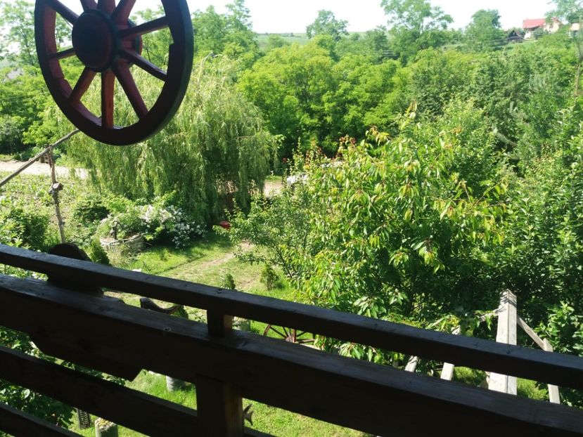  - vara 2019 in curte