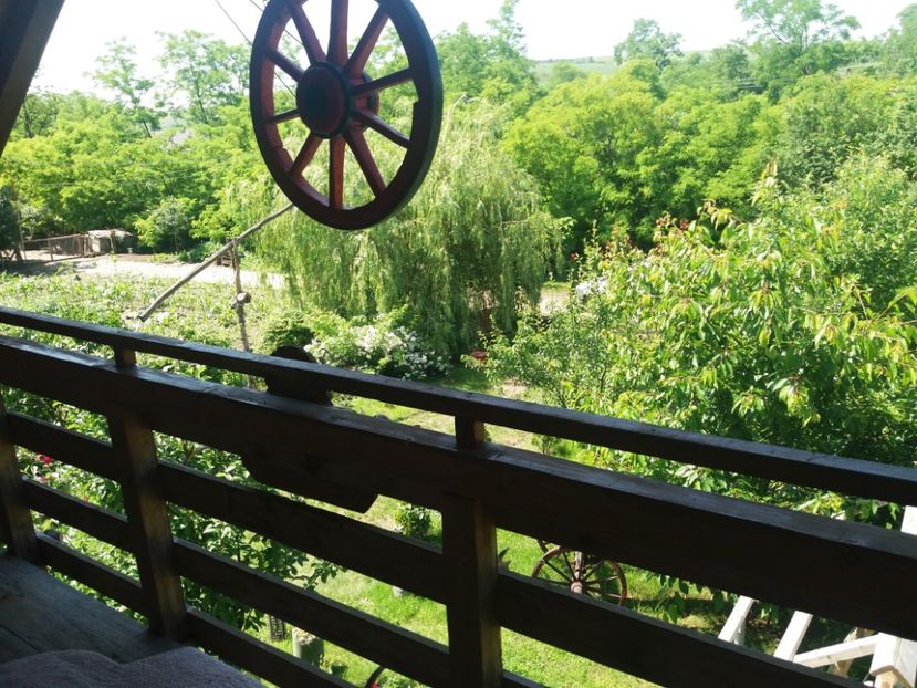  - vara 2019 in curte