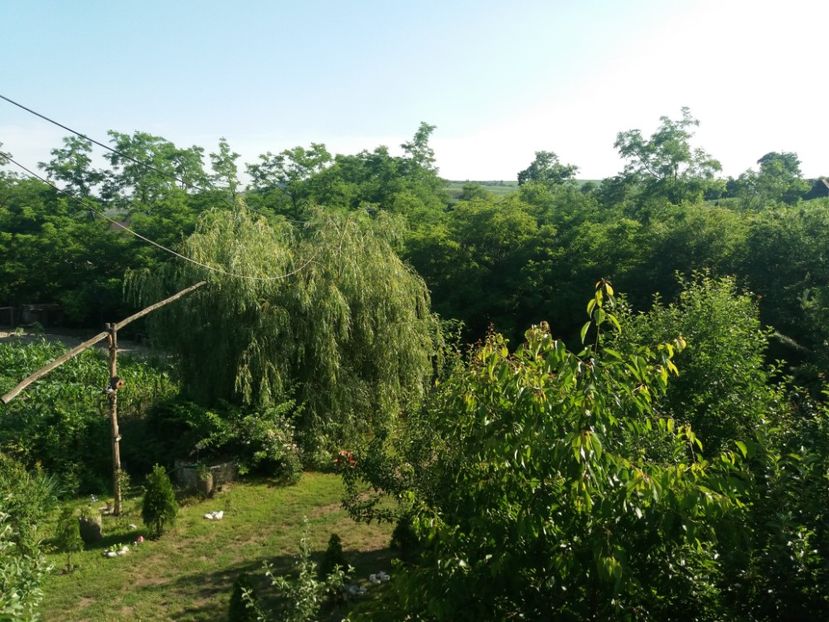  - vara 2019 in curte