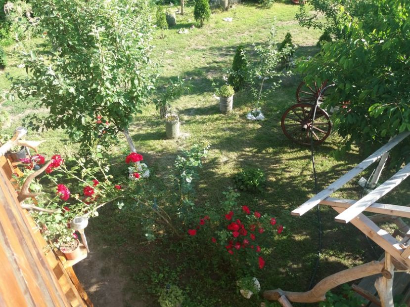  - vara 2019 in curte