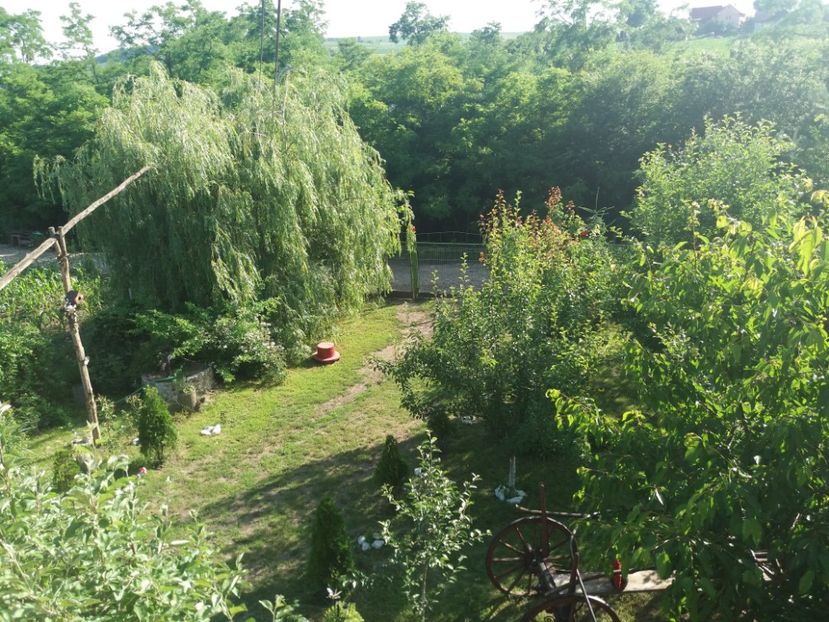  - vara 2019 in curte