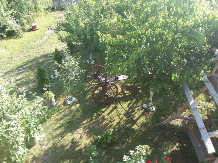  - vara 2019 in curte